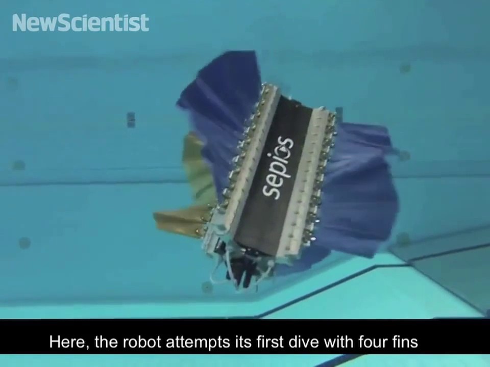 Un robot qui copie la technique de nage de la seiche! Dingue...