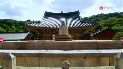 Buddhist Crane Dance