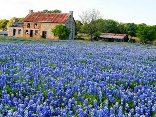 Ustad Eid Muhammad Mauj (Brahvi SInger)