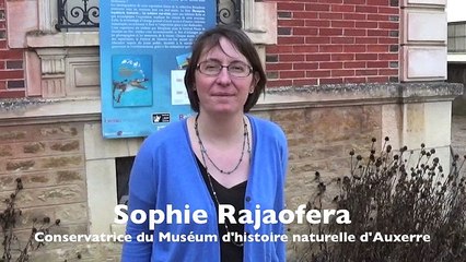 Frissonner bouche bée au muséum d'Auxerre devant ces animaux mal aimés ...