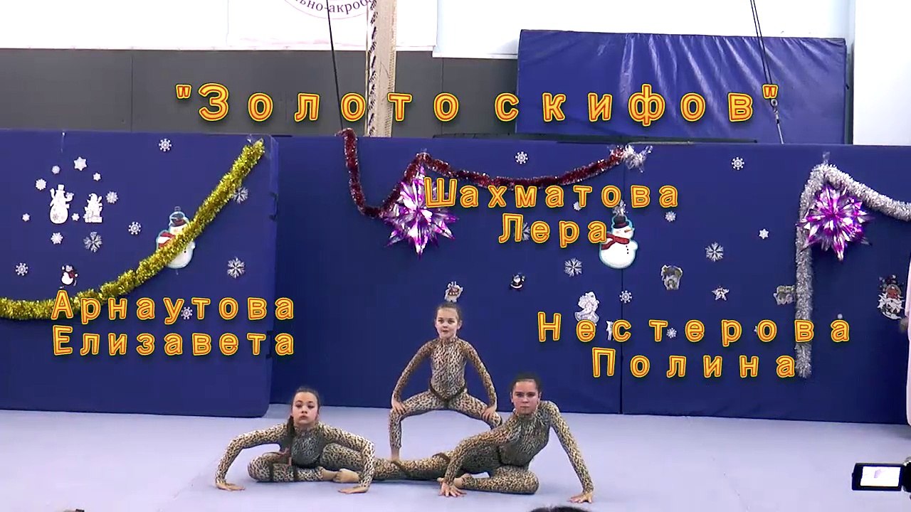 НГ15 Скифы