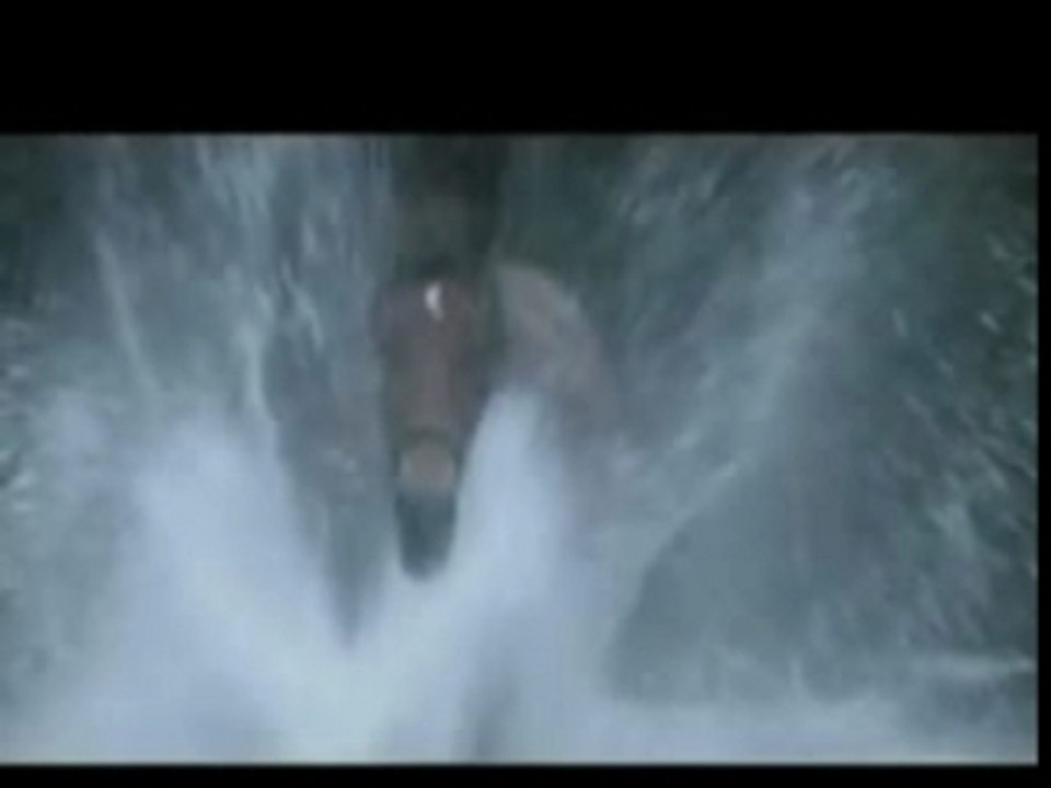 POM(PETTE) le poulain