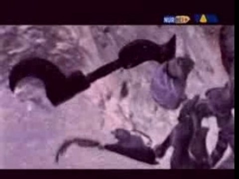 Linkin park - poa(remix)