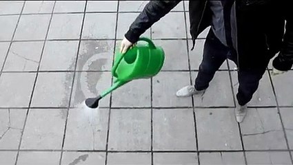 Sea Life - parc aquatique hollandais, "Raincampaign, Publicité qui n'apparaît qu'avec de l'eau" - mai 2011