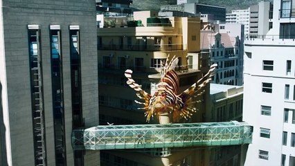 Swatch - montres, "Scuba Libre" - juillet 2013