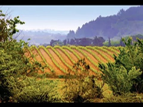 Vins du Pays d'Oc Indication Géographique Protégée (IGP) - vins - mars 2011