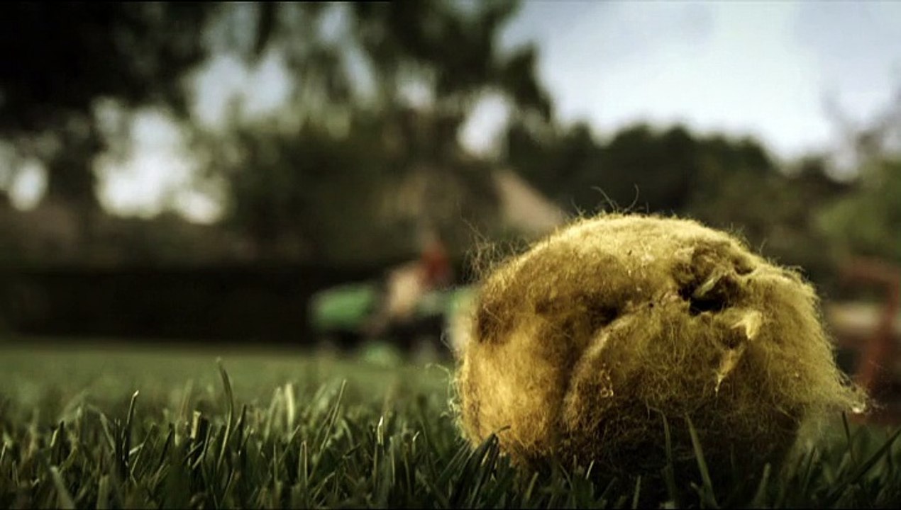 Viking (Stihl) - tracteur de pelouse - décembre 2008 - "Où s'arrêteront-ils ?" - Les chiens.