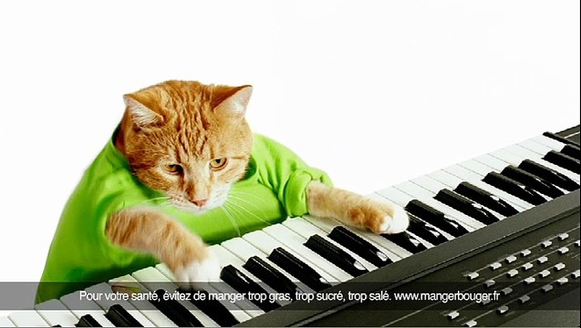 Wonderful Pistachios (Paramount Farms) - pistaches, Craquez - mai 2011 - Chat