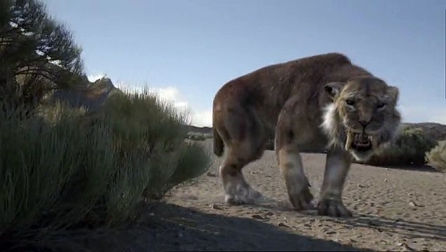 Winamax - site de poker en ligne - avril 2011 - Homo erectus