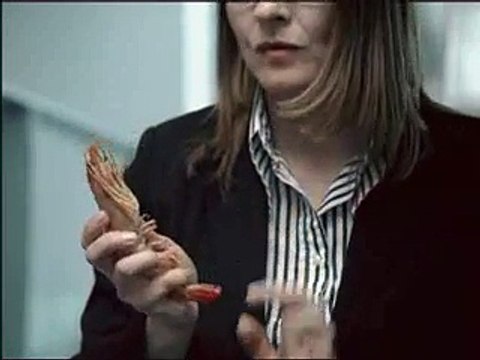 Publicité LG Mobiles