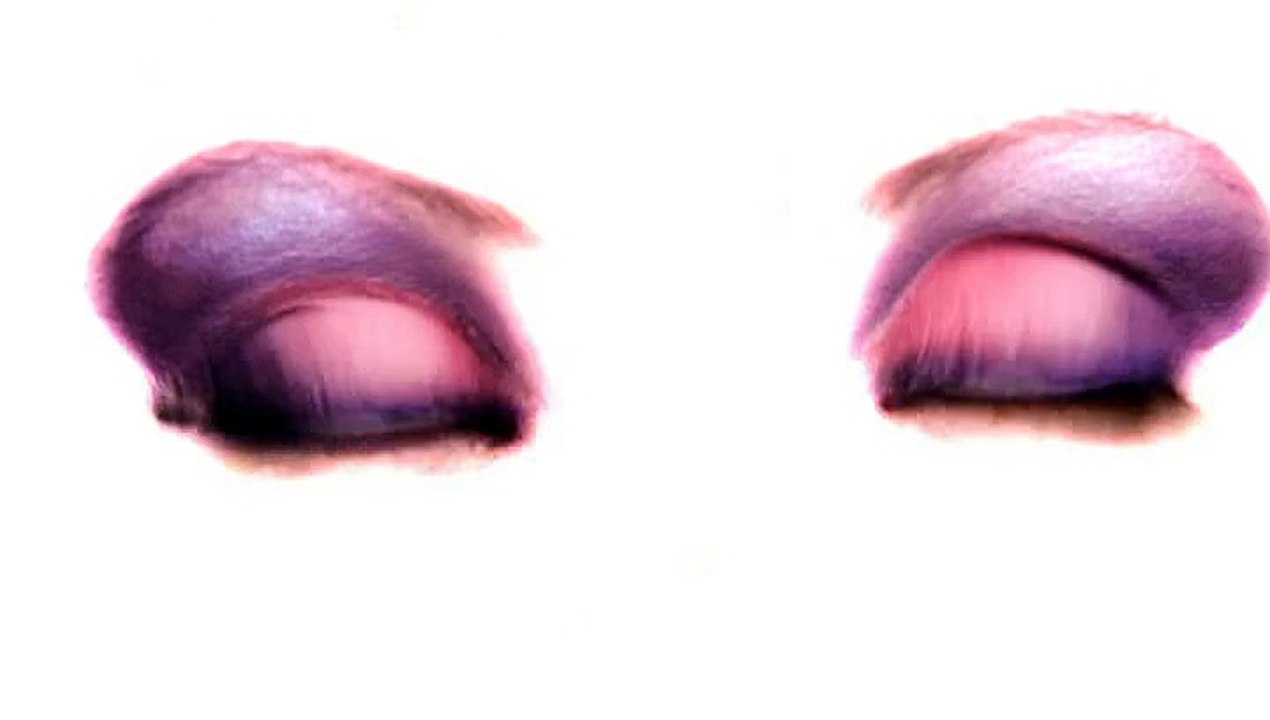 Suzuki - voitures Alto, Swift, Splash - mars 2010 - "Les belles de villes"