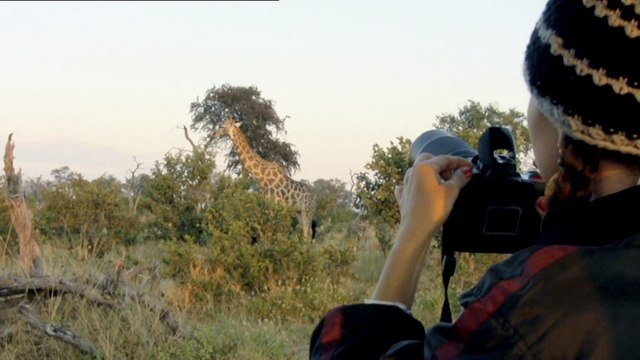 WWF France - protection de l'environnement - mai 2010 - Année de biodiversité , tags