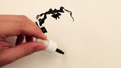 Solidarités International - lutte contre l'eau insalubre, "Water & ink" - mars 2011 - Écrivez