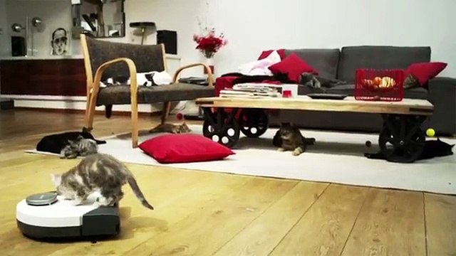 Vorwerk - robot aspirateur Kobold VR100, Le défi Kobold - avril 2013