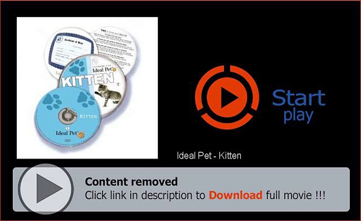 Download Ideal Pet - Kitten High Quality