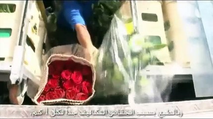 Hino 300 Series -- The Right Brand For All Types Of Business Ventures