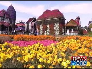 Miracle garden in Dubai