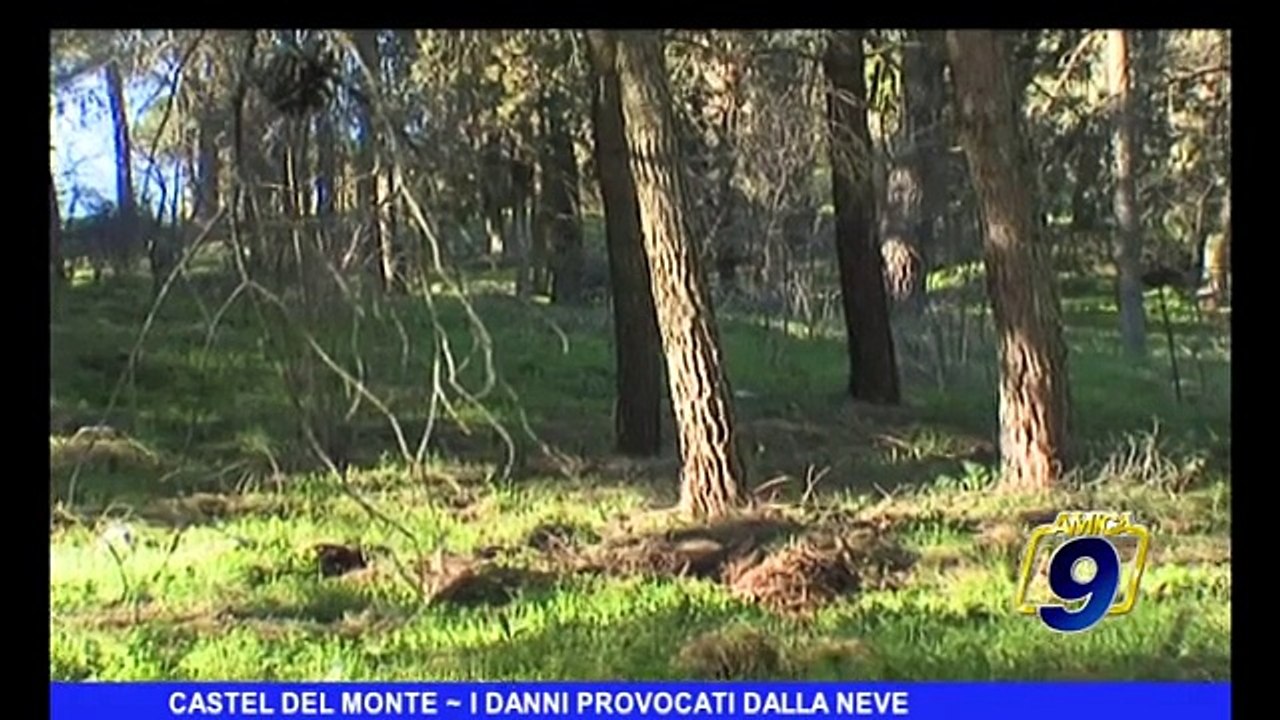 CASTEL DEL MONTE | I danni provocati dalla neve