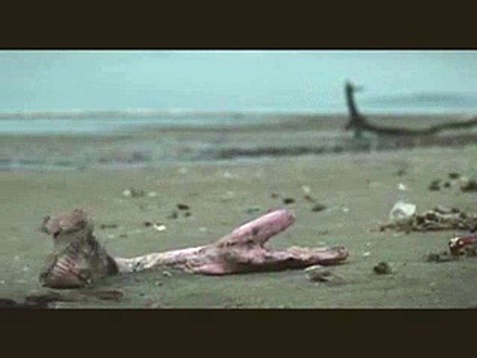 YOUNG et RUBICAM FRANCE pour SURFRIDER FONDATION