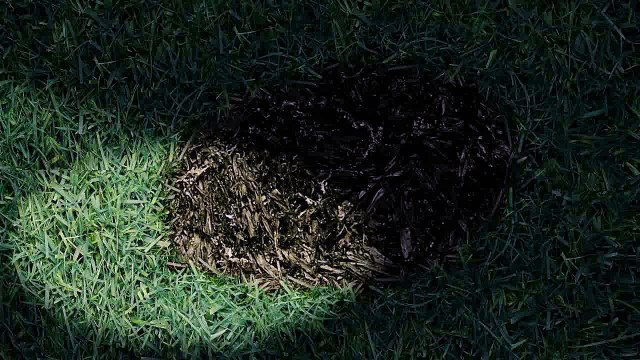 Sodebo - pizza So Ovale - mars 2010 - Mais pourquoi la pizza Ovale est-elle So Ovale ? , Hypothèse 1 , extra-terrestres