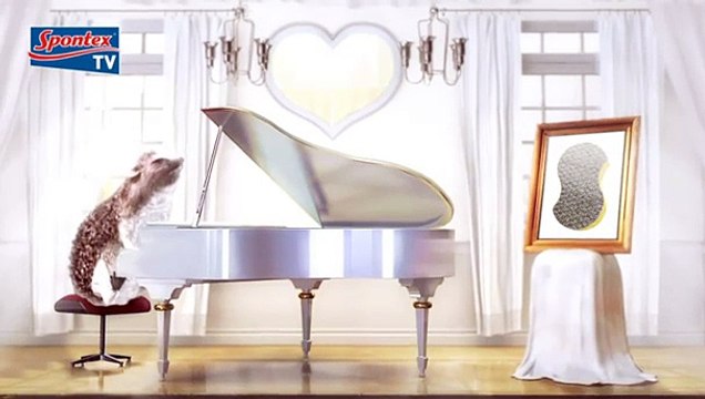 Spontex - éponge Flash Eponge - février 2011 - Ernie le hérisson et la Saint-Valentin