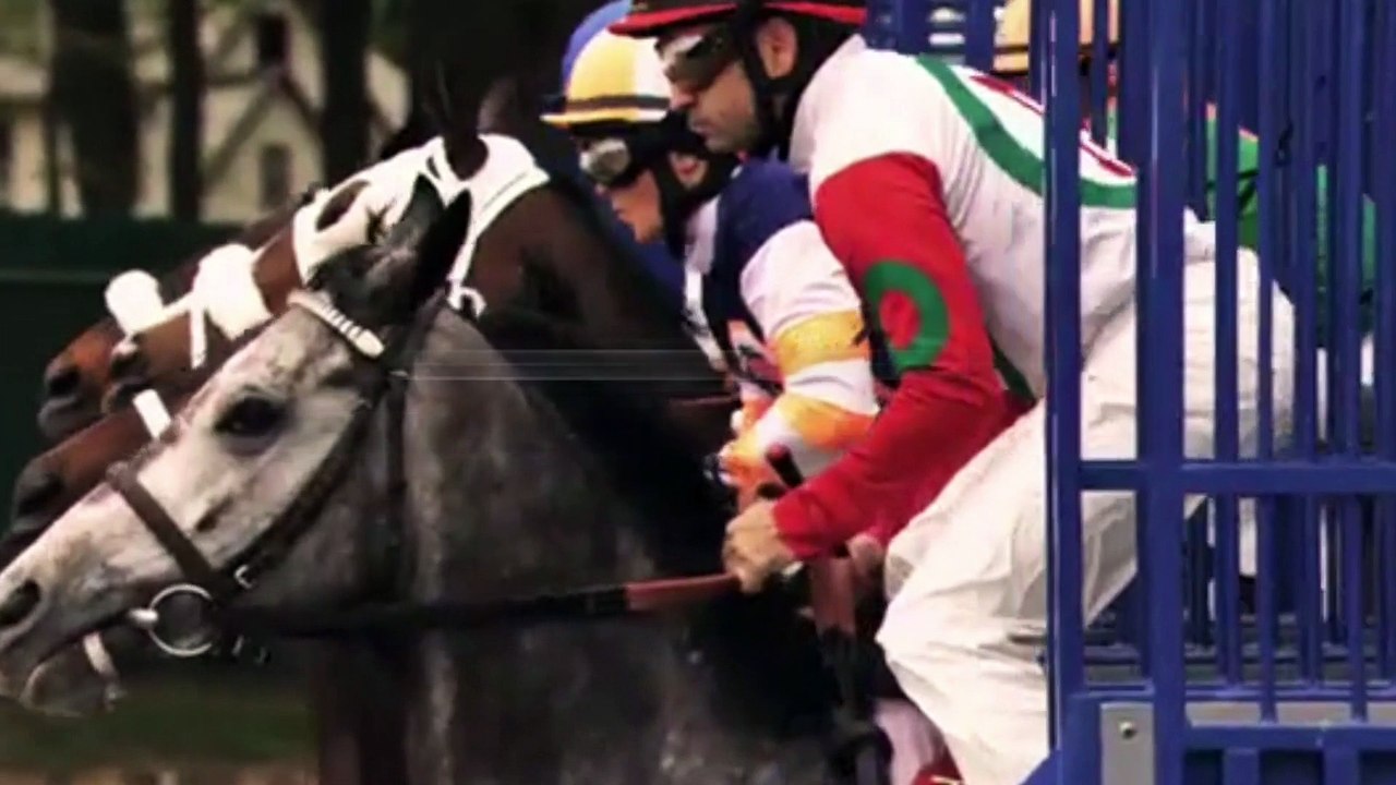 User Adgents pour PMU - paris sportifs en ligne, "My PMU" - novembre 2013