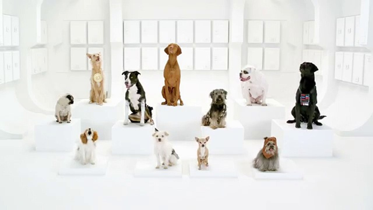 Volkswagen - voiture, "The Bark Side (Chorale de chiens), http://vw.com/star-wars-invite" - janvier 2012 - teaser