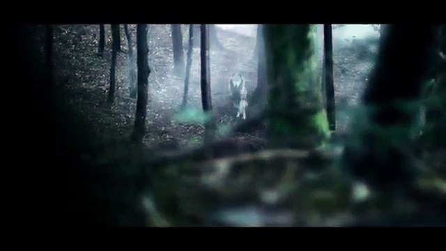 WNP pour Fromageries Lescure (Terra Lacta Bongrain) - fromage de chèvre Saint-Loup, «Le loup solitaire» - novembre 2014