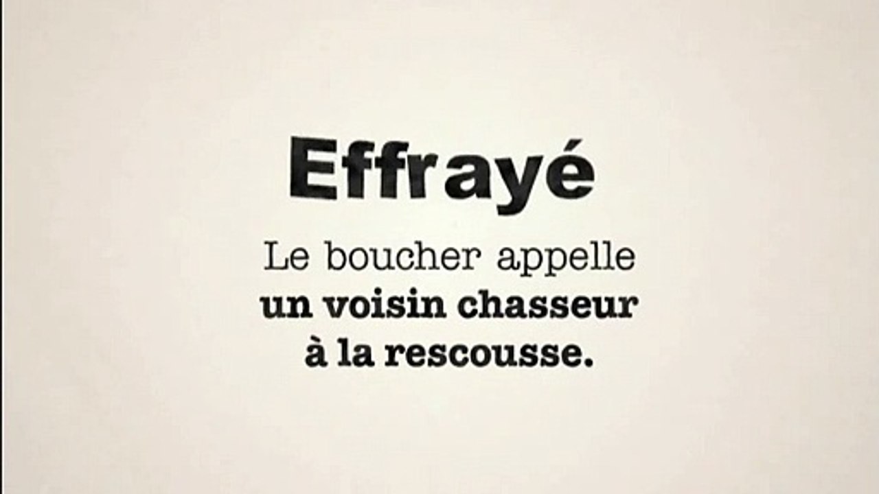 Syndicats de la presse quotidienne, Ministère de la Culture et de la Communication - Opération "Mon journal offert"- octobre 2009 - sanglier