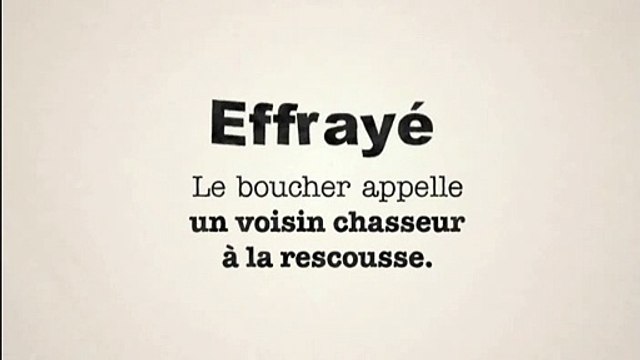 Syndicats de la presse quotidienne, Ministère de la Culture et de la Communication - Opération Mon journal offert - octobre 2009 - sanglier