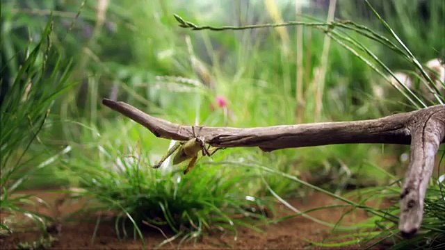 TBWA Paris pour SNCF - compagnie ferroviaire, Micro prix - septembre 2013 - les micro prix