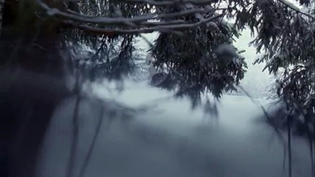 Shangri-la hotels - hôtels, "It's in our nature" - mai 2010