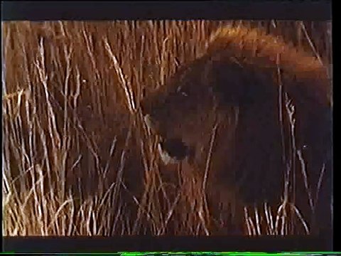 1991 - Ogilvy pour Perrier