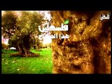 هذا الصباح الاربعاء 14-1-2015 ج1