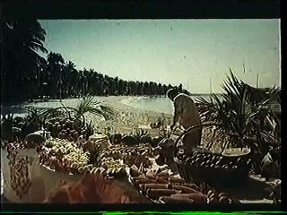 1978 - Alice pour Club Med