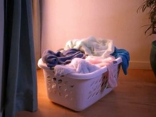 Temptations - nourriture pour chats - janvier 2011 - "Laundry"