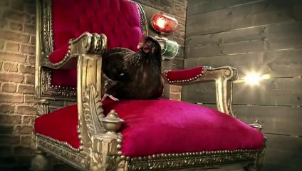 The Happy Egg Company - oeufs, "Pancake-o-matic Machine" - février 2013