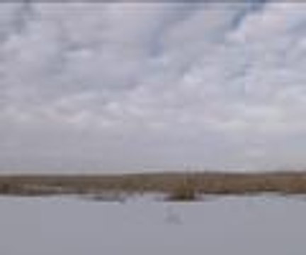 Dondurucu soğukta ekmek kavgası