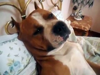 Il ouvre la porte et fait une découverte troublante dans le lit de sa fille! Il est sans mots!