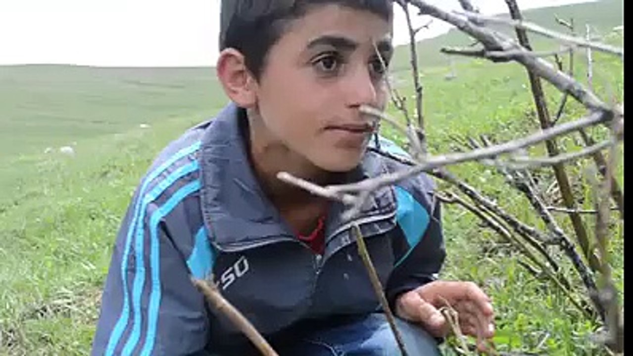 eşşeyi saldım çayıra kıraç şarkısı komedi