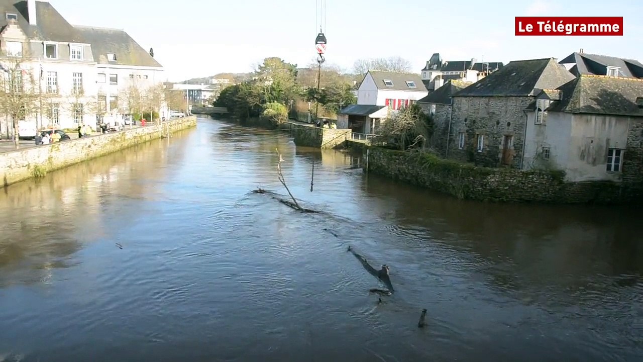 Landerneau. Un gros arbre s'échoue devant le pont de Rohan.