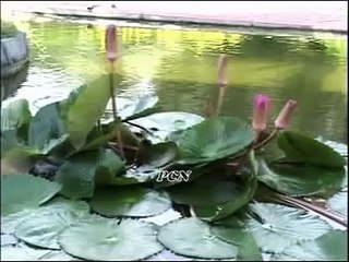 Yahawa Raja Auld Lang Syne - Urdu Christian Song