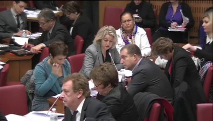 Nomination au CSA - audition de N. SONNAC par la commission affaires culturelles et éducation