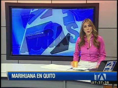 23 kilos de marihuana fueron incautados por la Policía en el norte de Quito