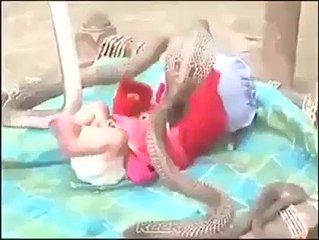 Child Baby Playing with Cobra Snake