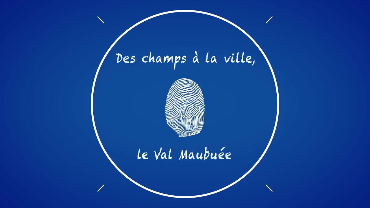 Des champs à la ville, le Val Maubuée - Vœux 2015
