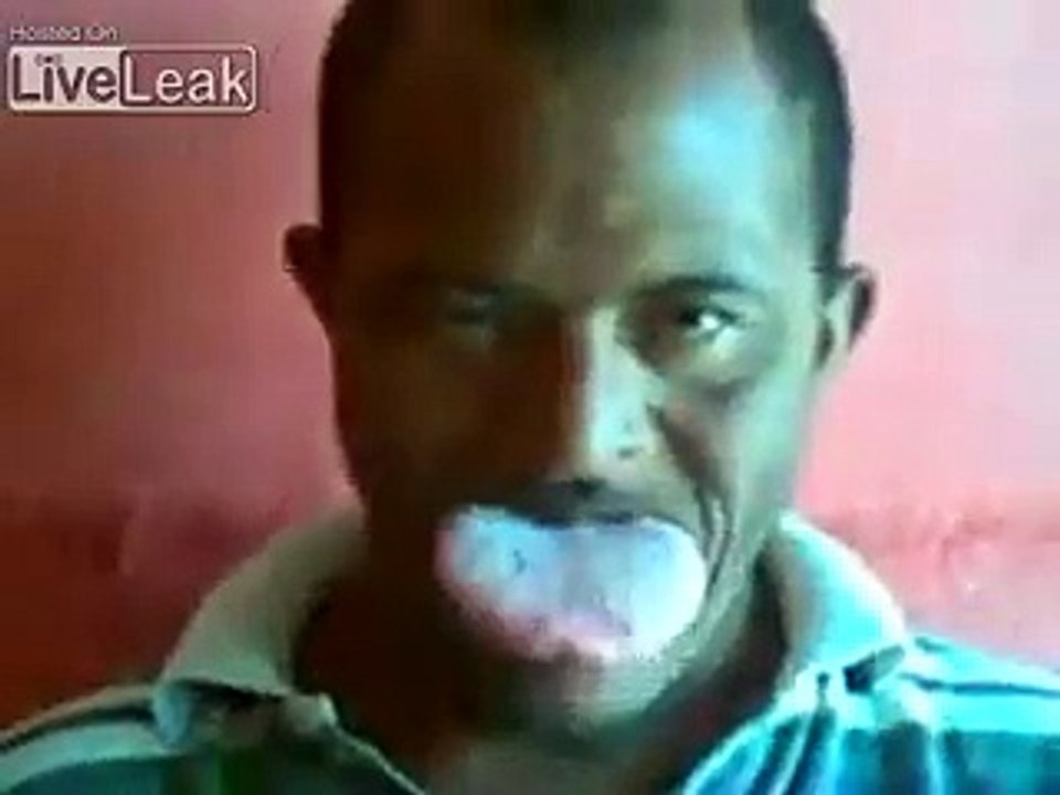 Funny Videos
