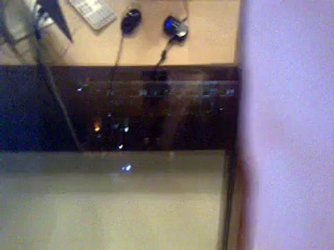 Uploaded video via Globalistan iOS (среда января 14, 2015 5:00 после полудня, GMT+2)