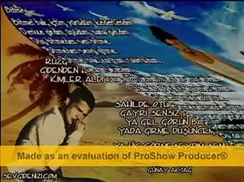 sibel can-ayrilik sarkisi