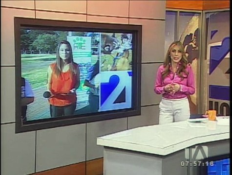 Realizan campaña de identificación de mascotas en Quito